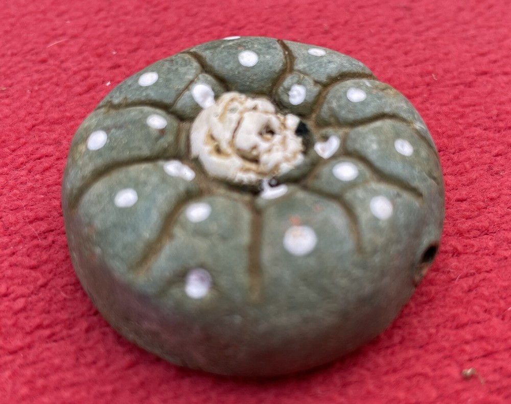 Unique Ceramic Peyote Bud Shamanic Journey Pendant