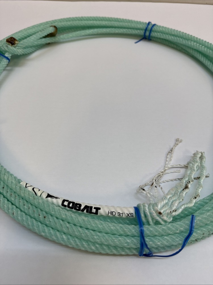FAST BACK- COBALT HD 31' XS