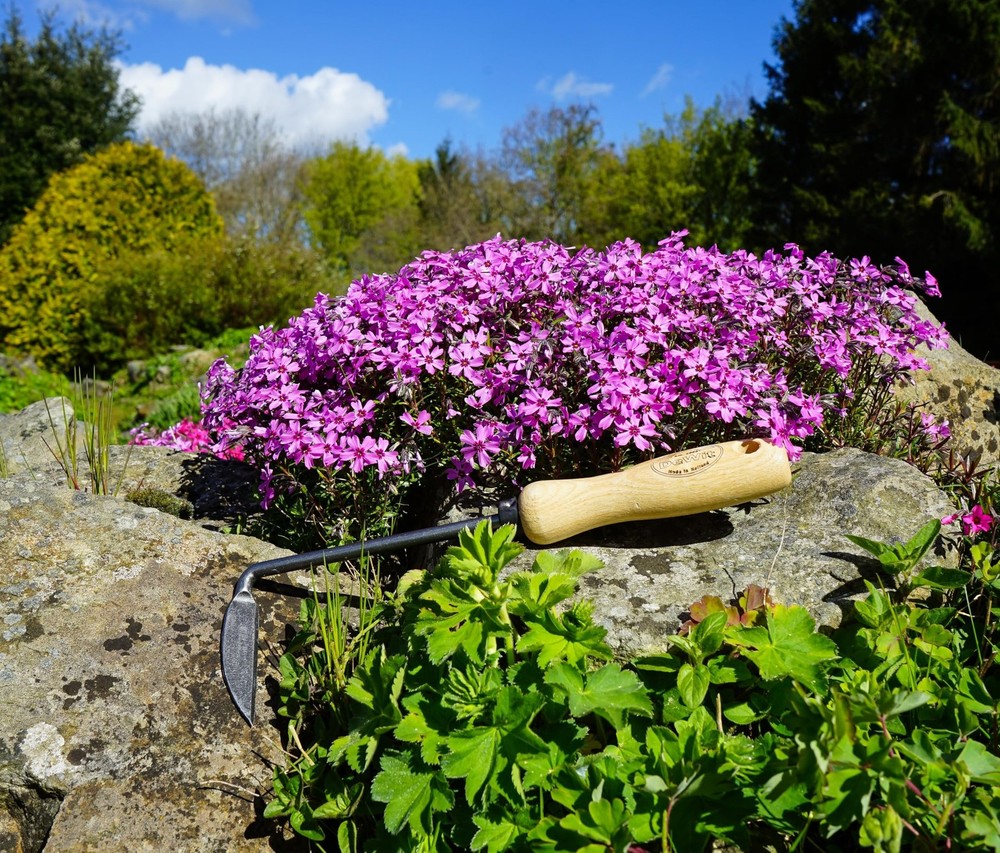 Dewit Cape Cod Weeder – Right Hand | Hand Weeding Tool for Tight Spaces |
