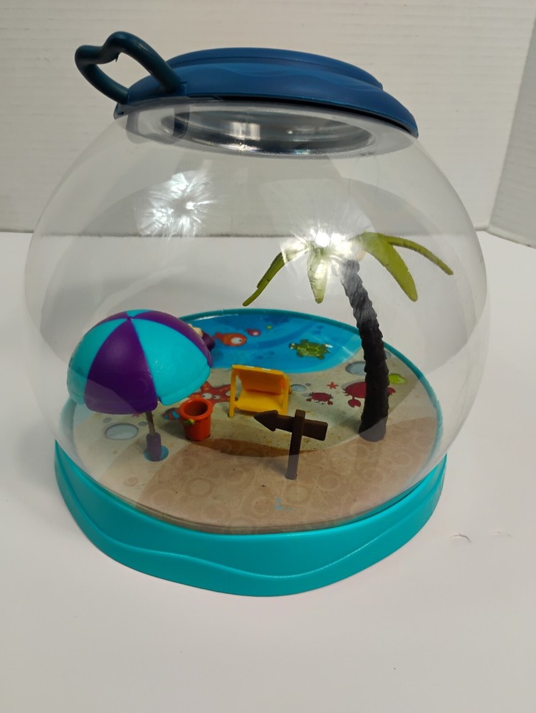 Bug Hermit Crab Habitat Small Creature sumner fun cottage ocean bug catcher