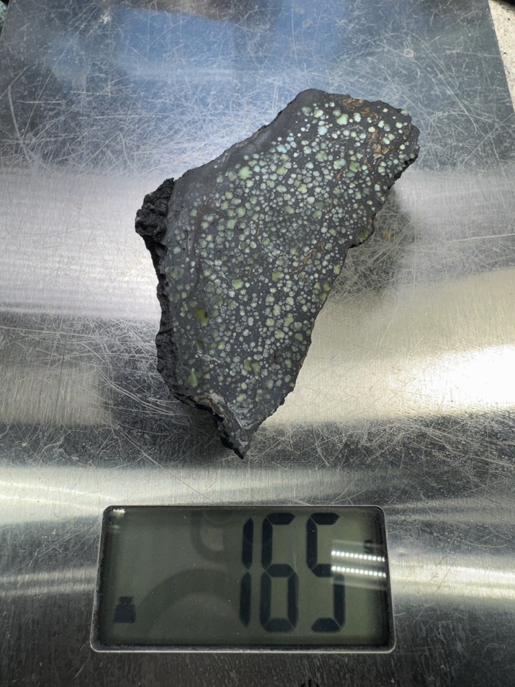 Natural Nevada Variscite rough star fox