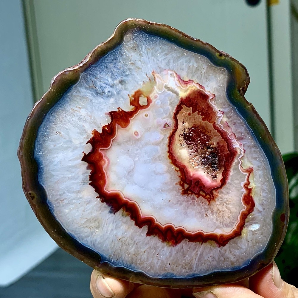 287G Natural Beautiful Agate Geode Druzy Slice Extra Large Gemstone