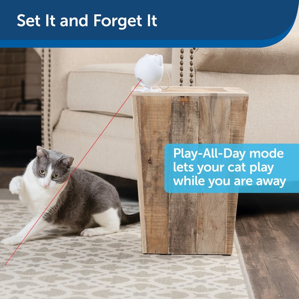 PetSafe Dancing Dot Laser Toy for Cats