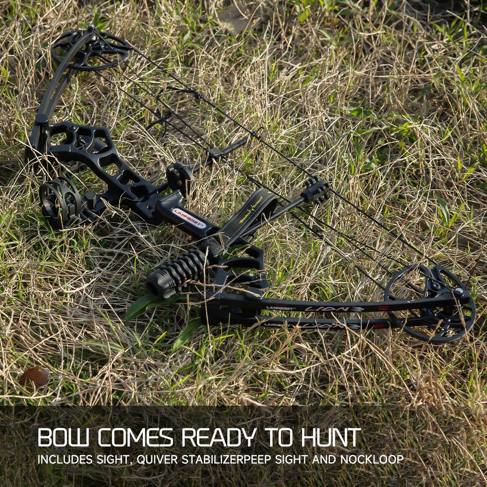 Ready to Hunt Compound Bow Package , Fits Adults & Teens, 0-70 Lbs Adjustable