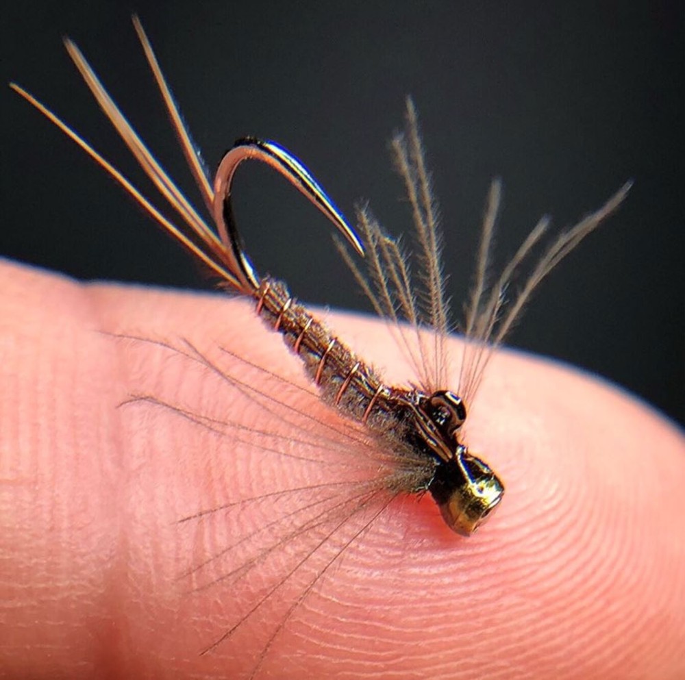 Upavon Chadwick's 477 Substitute