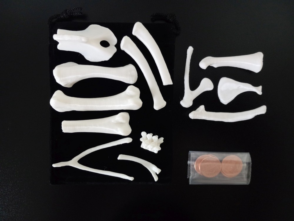 Bone Throwing/Casting Complete 13 Bone Set – White, voodoo hoodoo osteomancy
