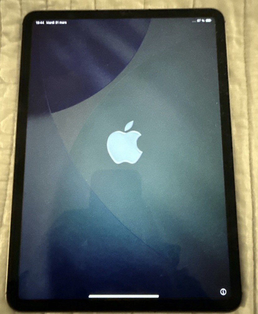 Apple iPad Pro Tablet Gray Built-In Rear Camera