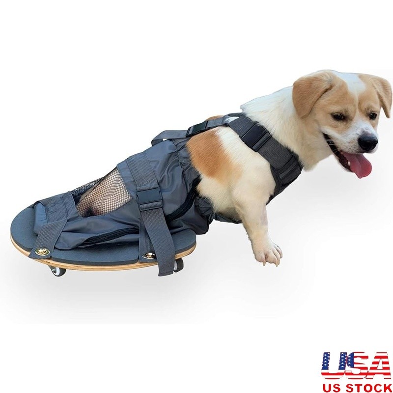 Pet Scooter Comfortable Design Adjustable Size Easy Mobility & Resting New