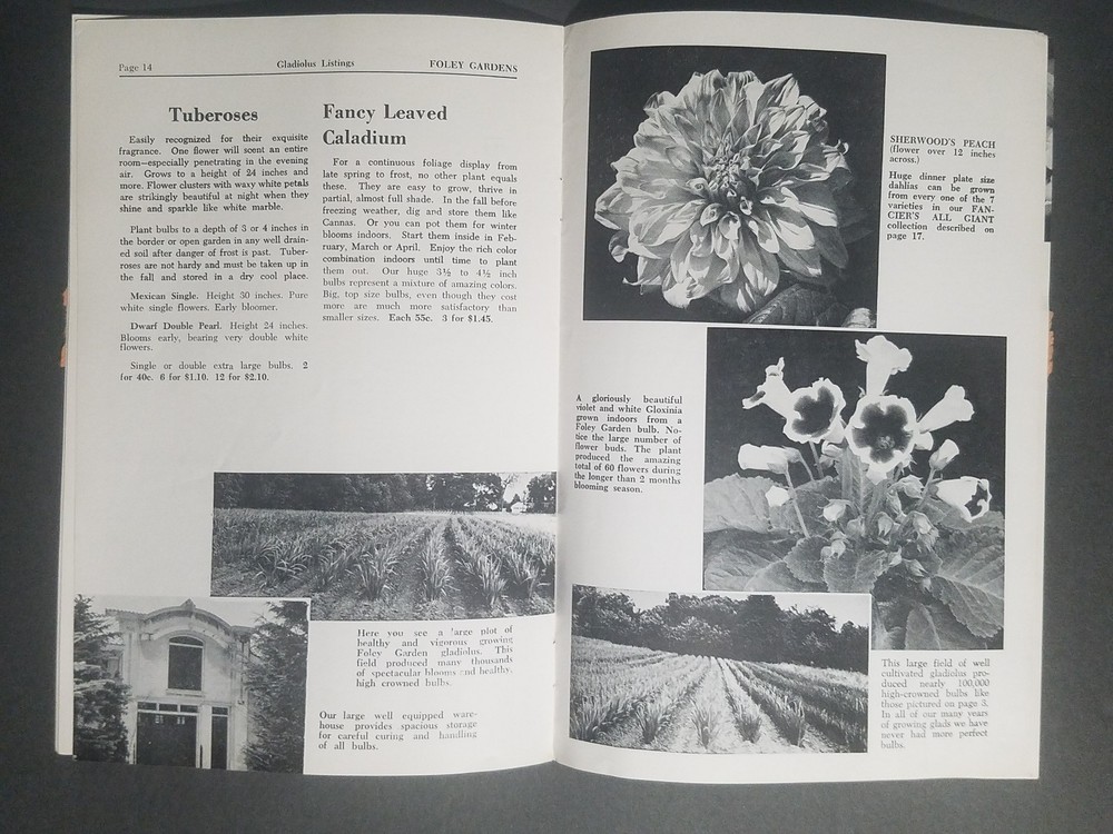1957 Foley Gardens Catalog