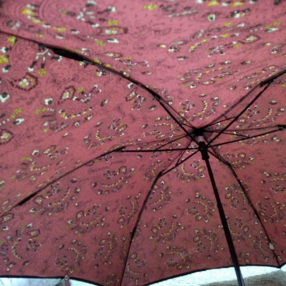DIOR Folding Umbrella 55cm Wine Paisley Pattern New Authentic Genuine
