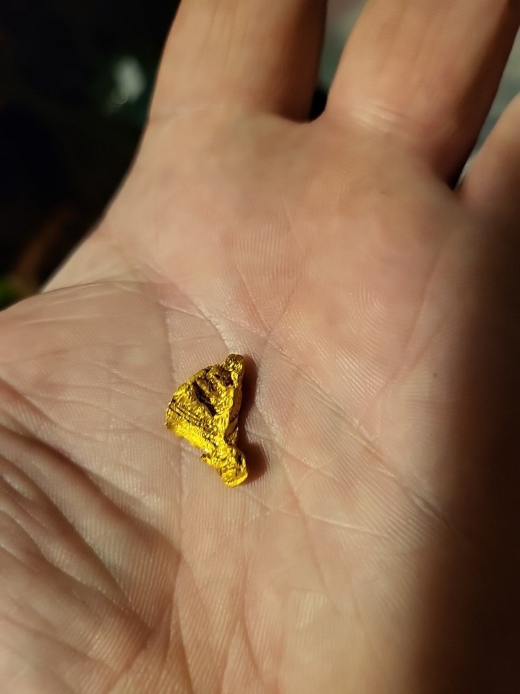 Gold Nugget