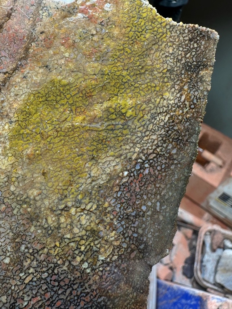 Dinosaur bone rough **hxtled slab.