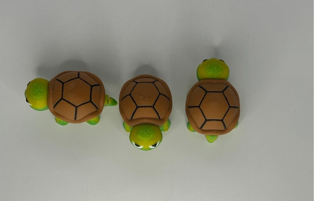 3D Printed Jiggle Pet Grumpy Turtle