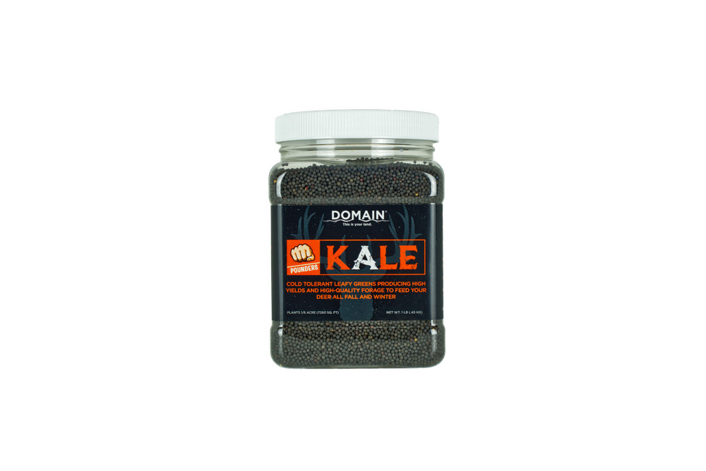Domain Kale Food Plot Seed, 1/6 acre