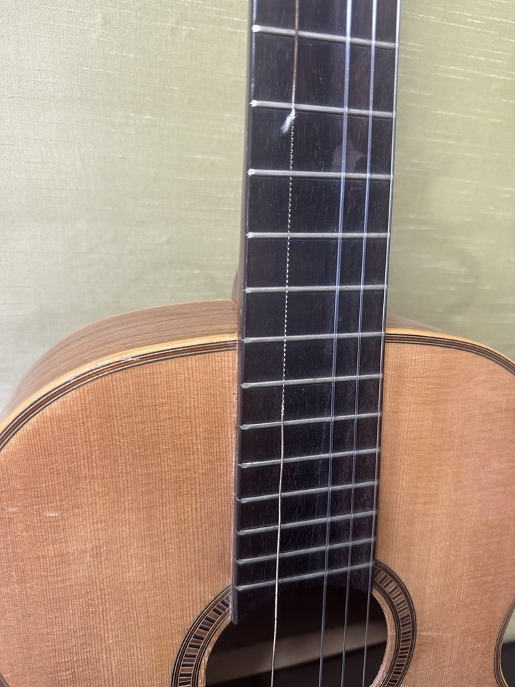 Giannini AWN60 Classical Guitar With Hard Case