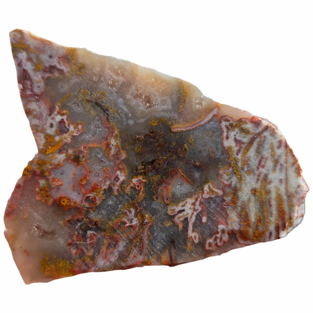 Apple Valley Agate Slab - Wintry Scene with Pseudomorphic Moss