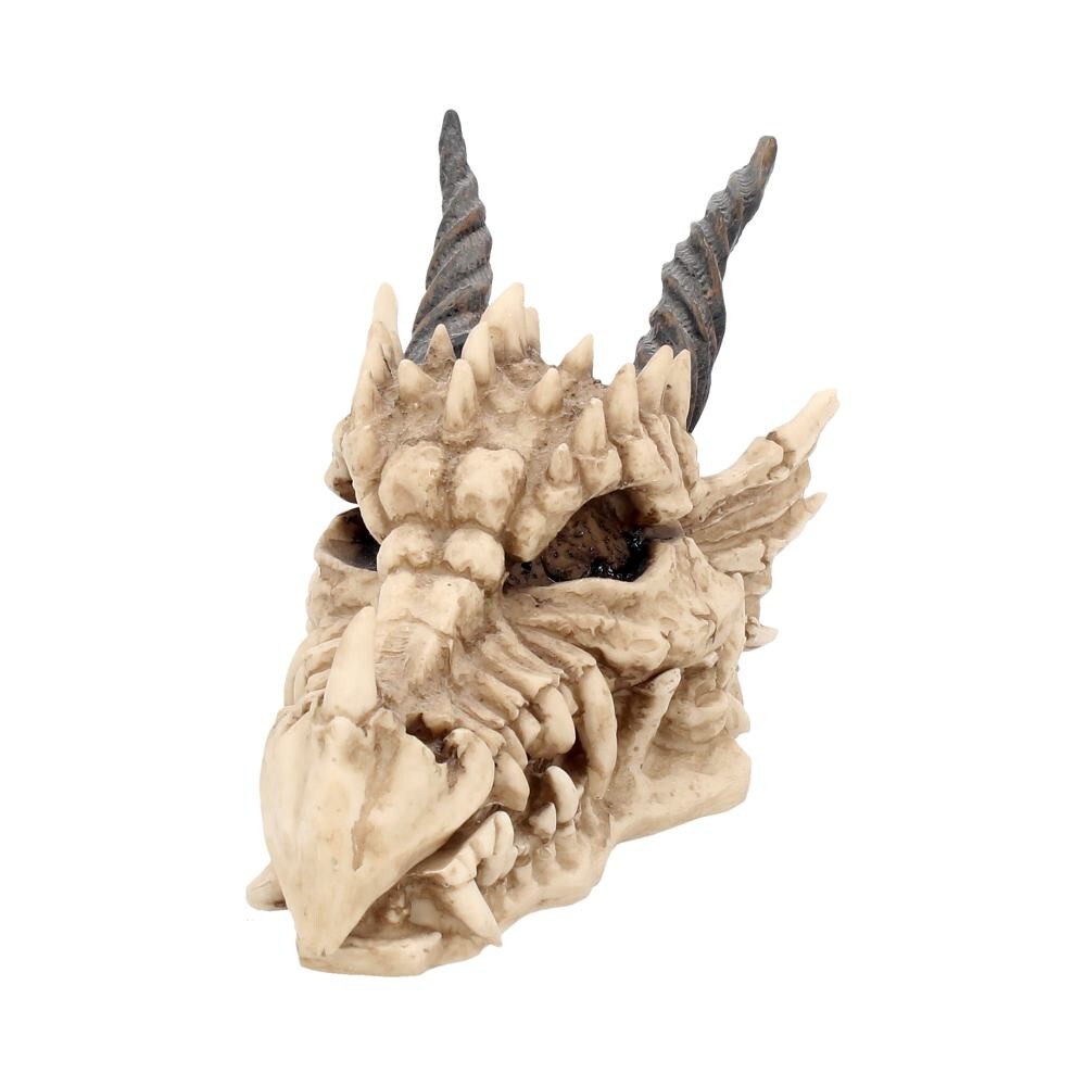 Nemesis Now Dragon Skull Box 15cm Ivory