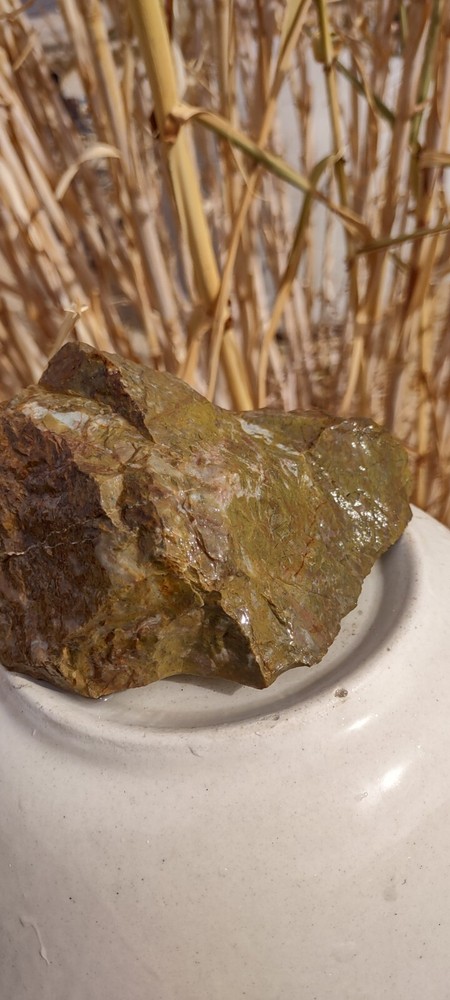 Lapidary Jasper Rough Specimen