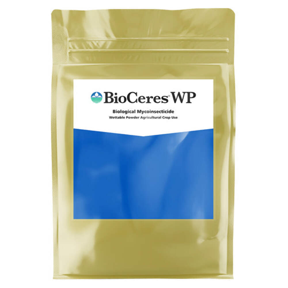 Bioceres WP