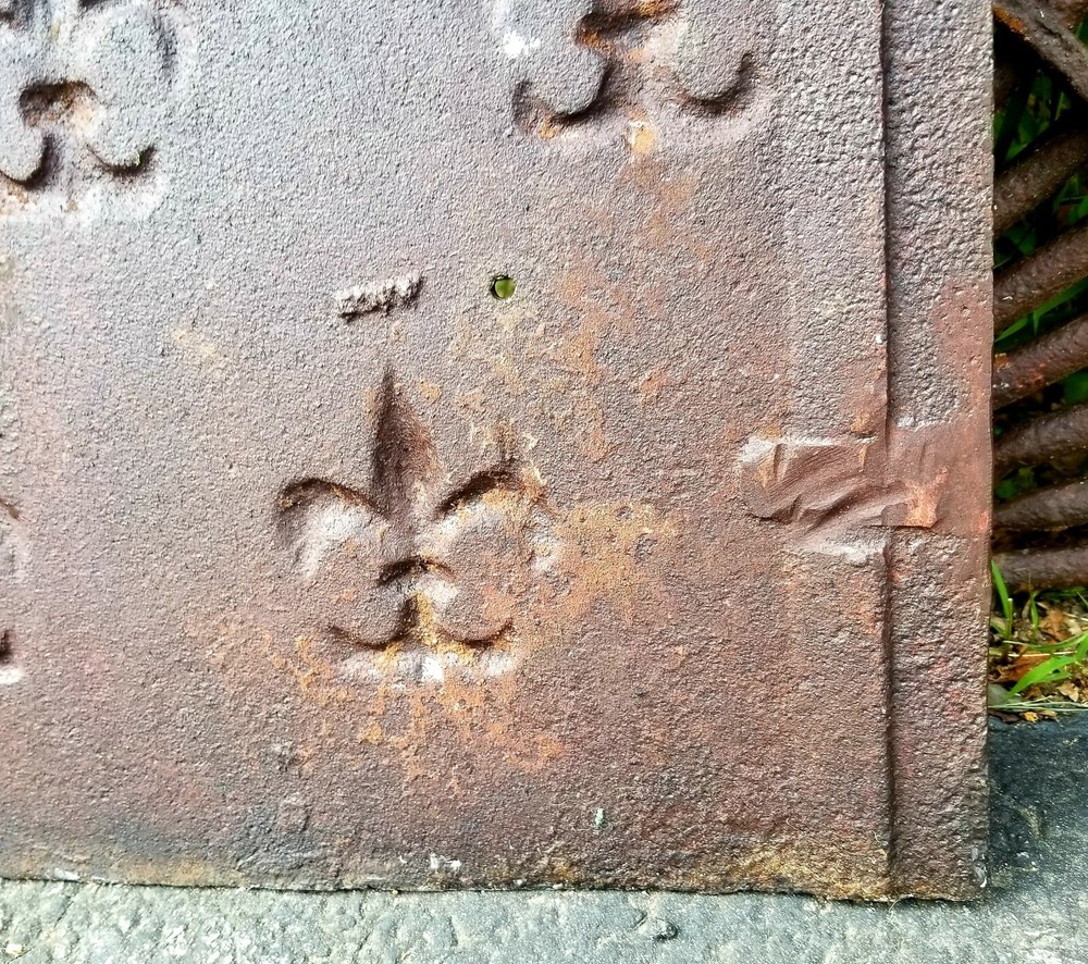 Antique Fleur-de-lis Forest Park Springfield Ma Chamber Panel C1890