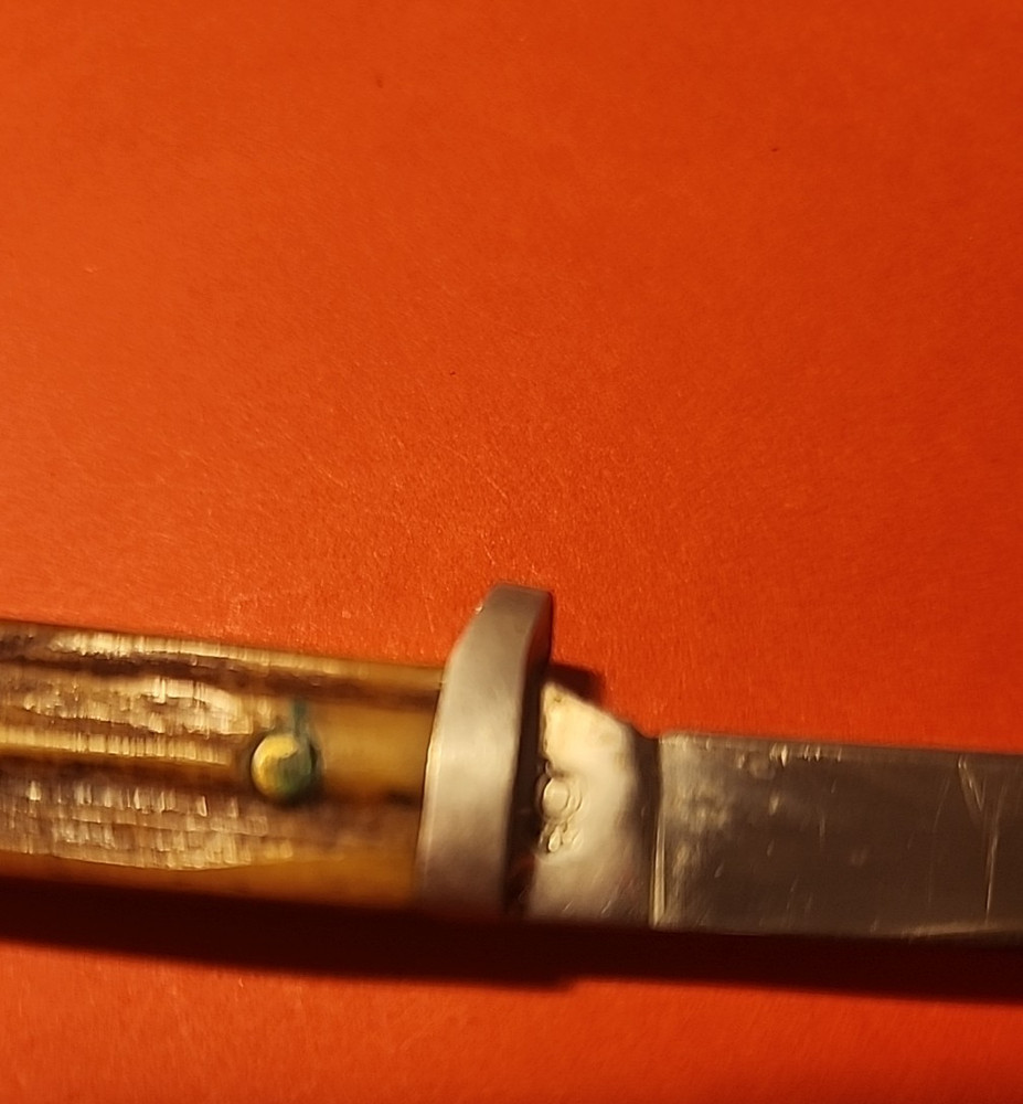 Vintage Queen fixed 3in Blade Bone handle/sheath