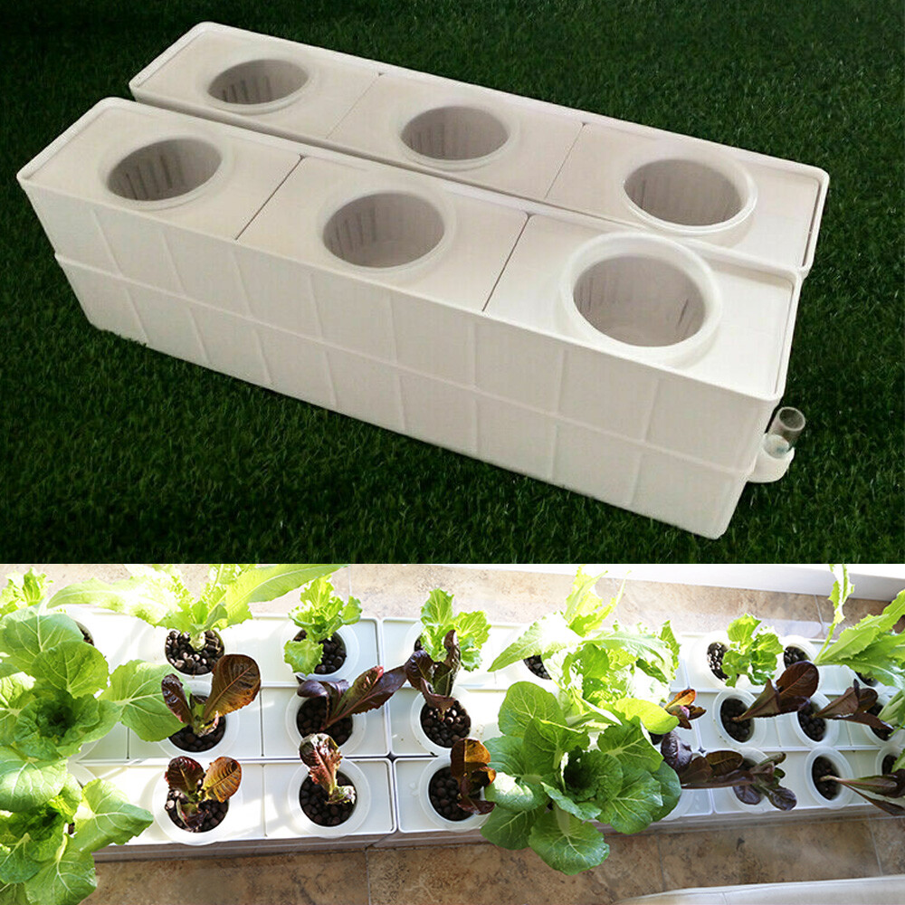 6 Plant Hydroponic Site Grow Kit Square Shape Baskets Grow System