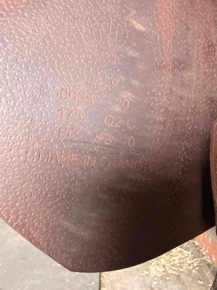 17.5” Arion Saddle