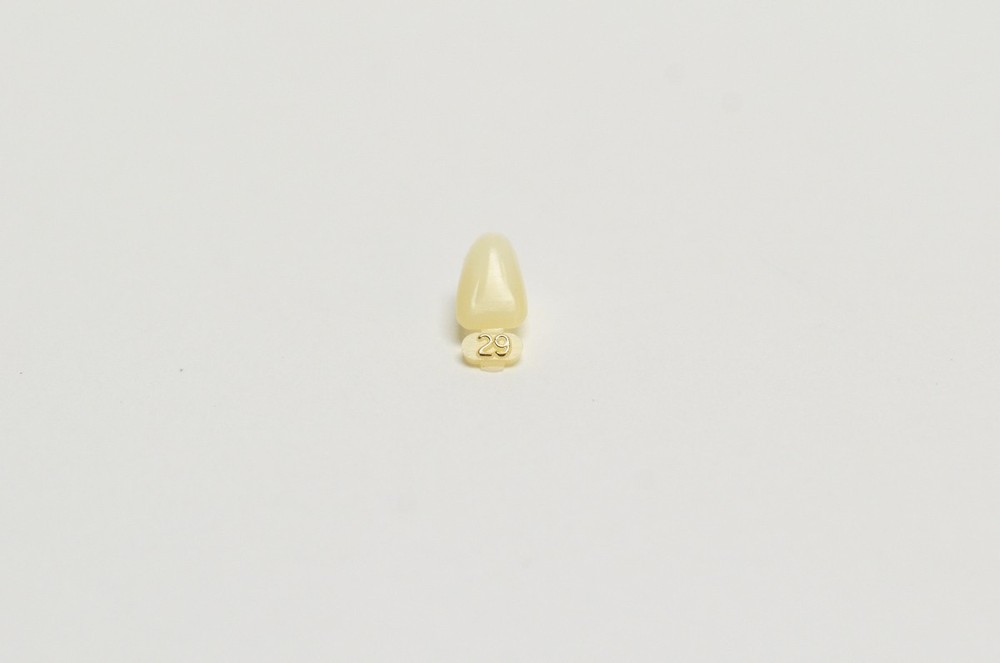 DENTAL POLYCARBONATE TEMPORARY CROWNS #29 (ULL) UPPER LEFT LATERAL 5/PACK