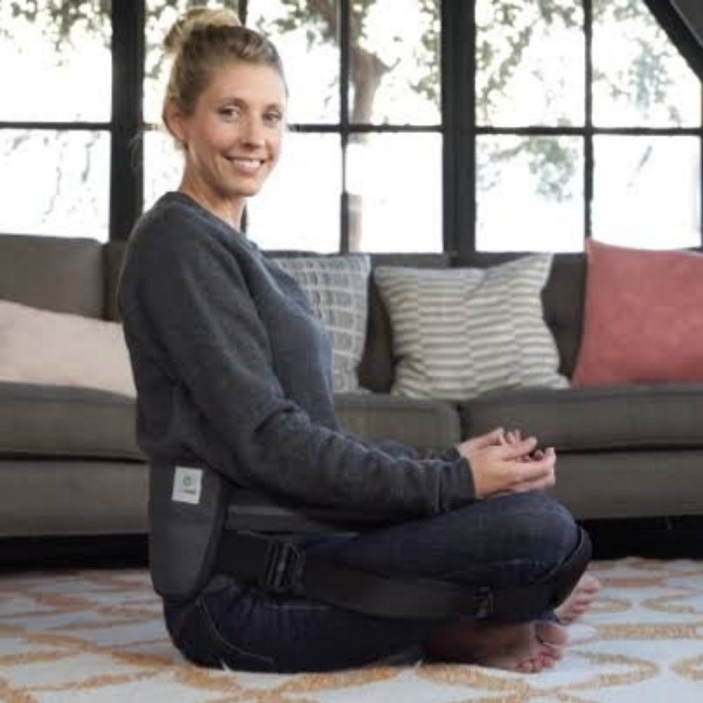 BetterBack Posture Support Cushion
