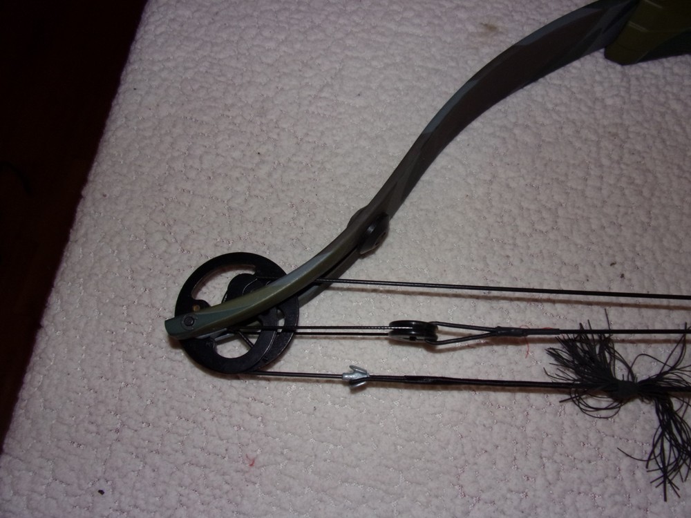 Golden Eagle Super Hawk Compound Bow