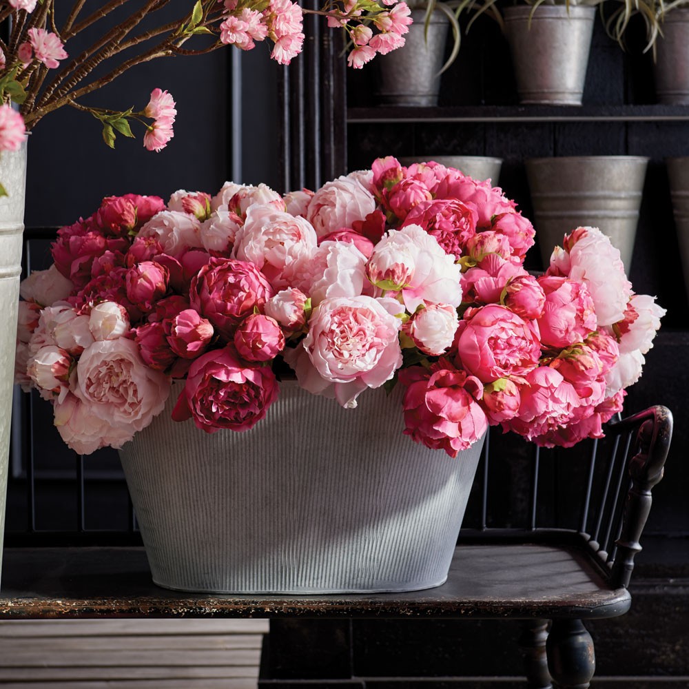 PEONIES 21", BUNDLE OF 3