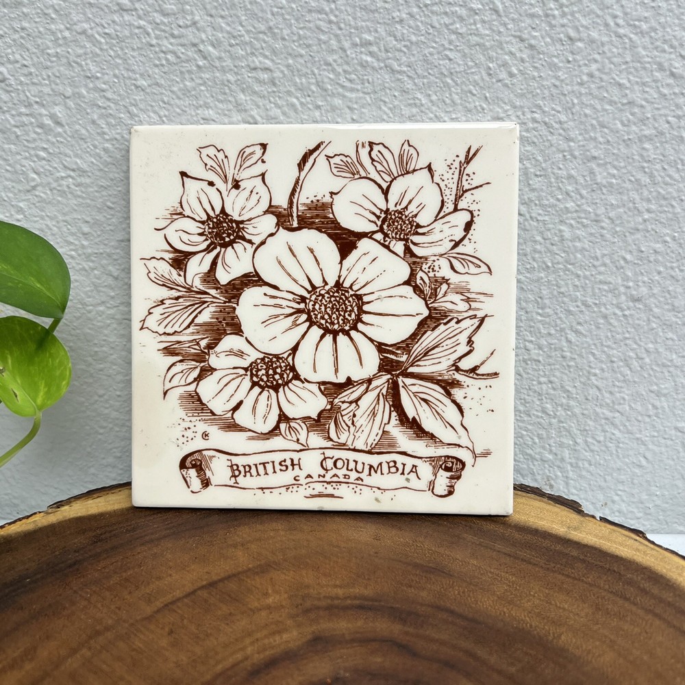 British Columbia Canada Backsplash Decorative Ceramic Wall Art Tile Kitchen