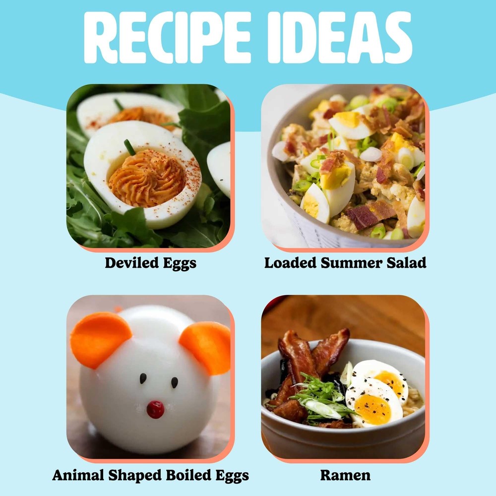 Mini Rapid Egg Cooker 5-Egg Capacity for Perfect Hard Boiled Eggs or Omelets ...