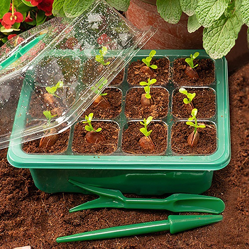 5Pack Seed Starter Trays with Grow Light Seed Starter Kit Seed Growing Starting