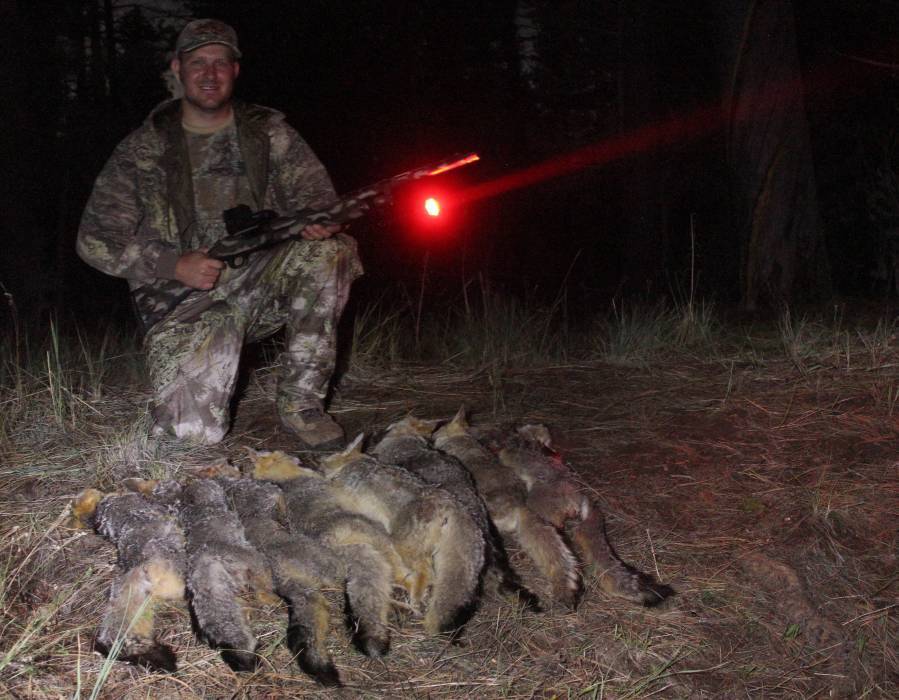 Wicked Lights Intensity Control Replacement RED LED for Intensity Control Models