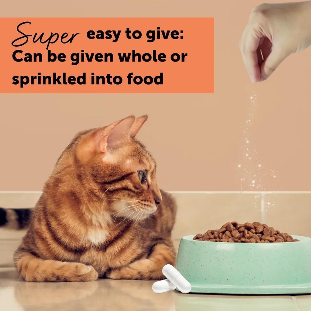 Cystease Advanced Urinary Tract Support for Cats Pot Size: 30 Tablets