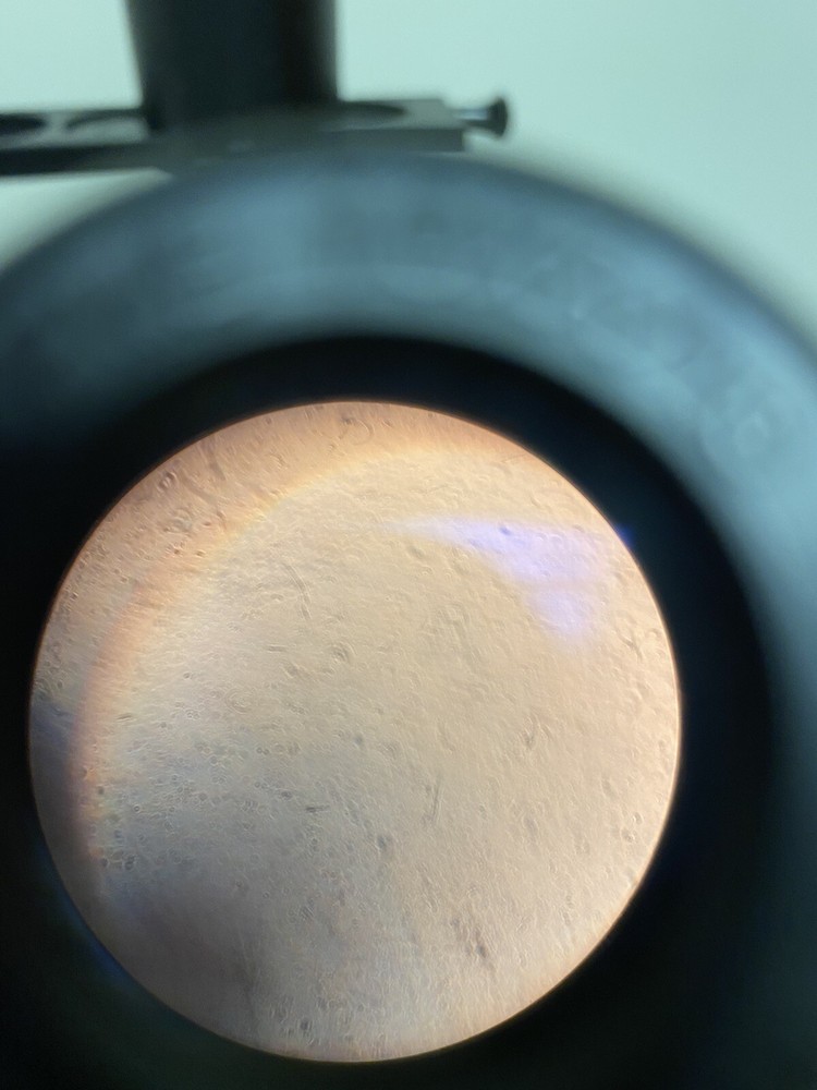 Nikon TMS Inverted Microscope TMS