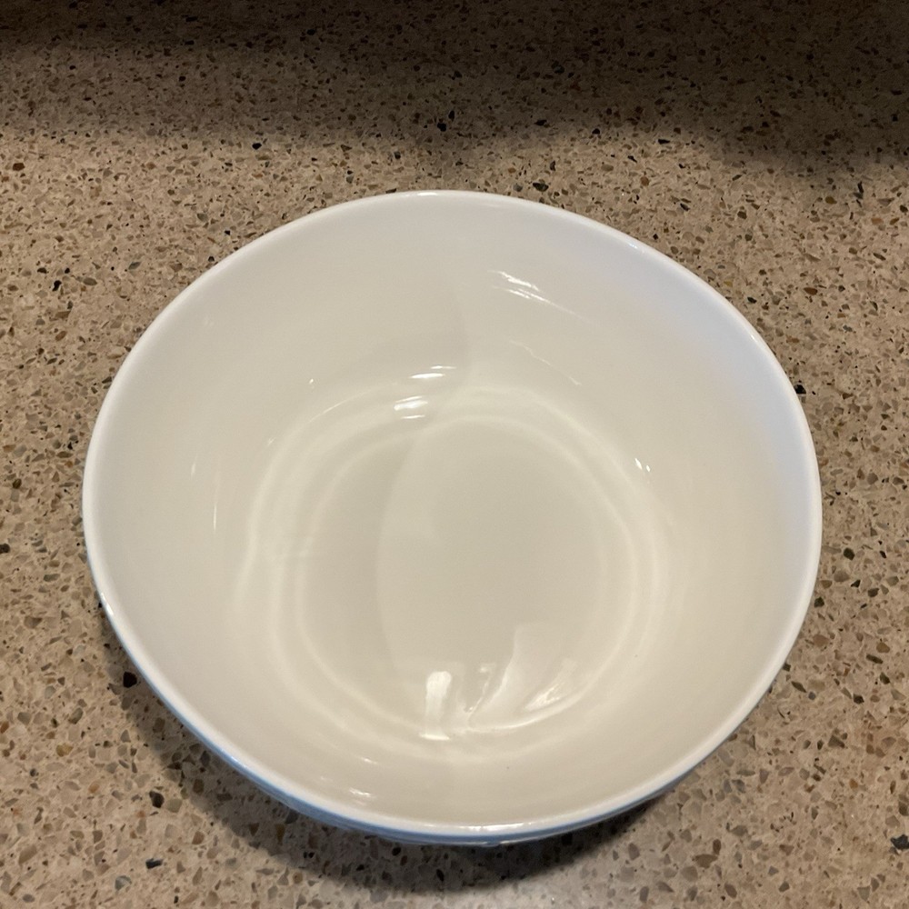 DOWAN Mixing Serving Bowl 9.5" Large Blue 2.3 Quart Ceramic “Bowl”