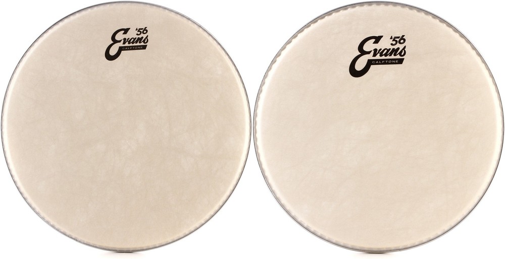 Evans Calftone Drumhead - 13 inch + Evans TT10C7 Value Bundle