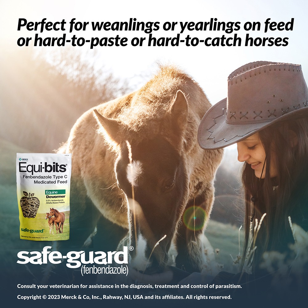 Safe-Guard Equi-Bits 1.25lb