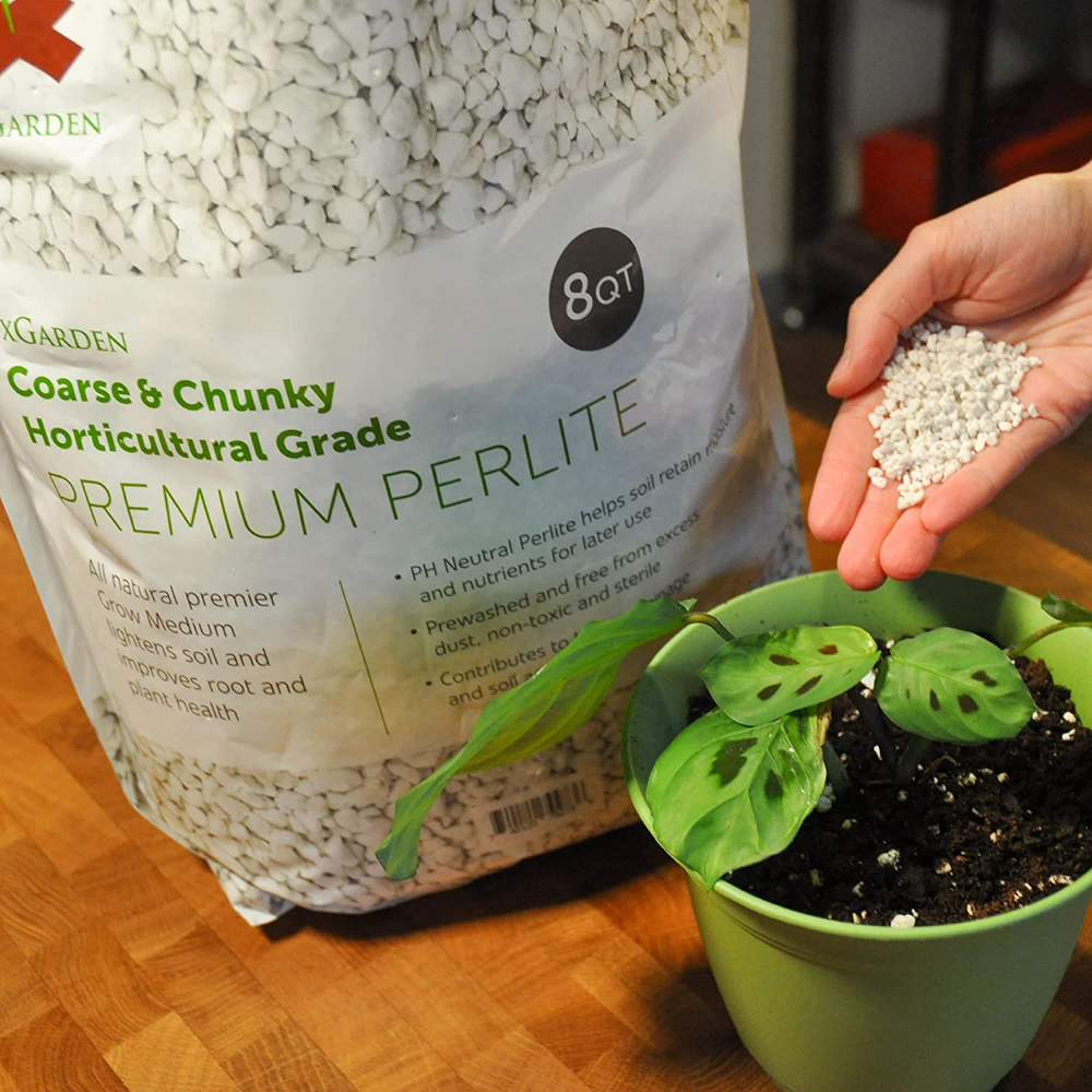 8 Quart Horticultural Grade Perlite, Coarse