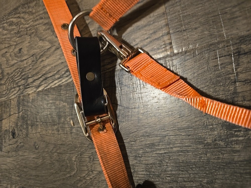 Horse Halter