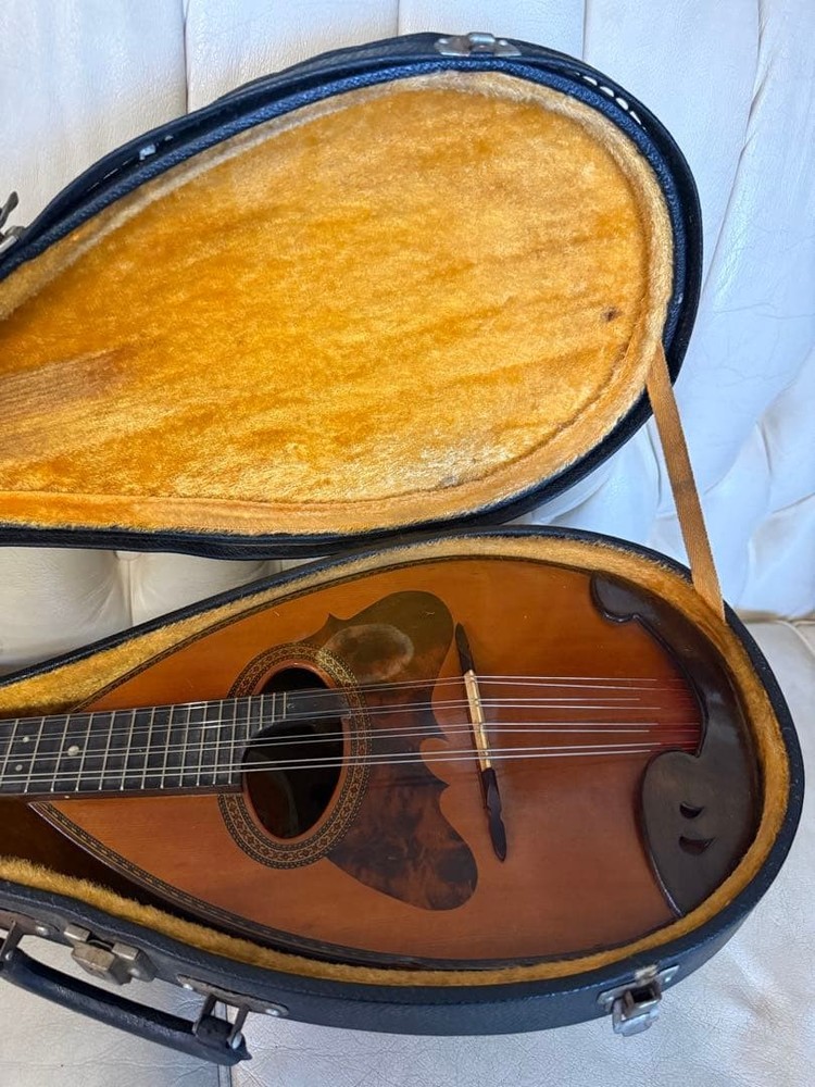 78: Mandolin Spruce body 8 strings