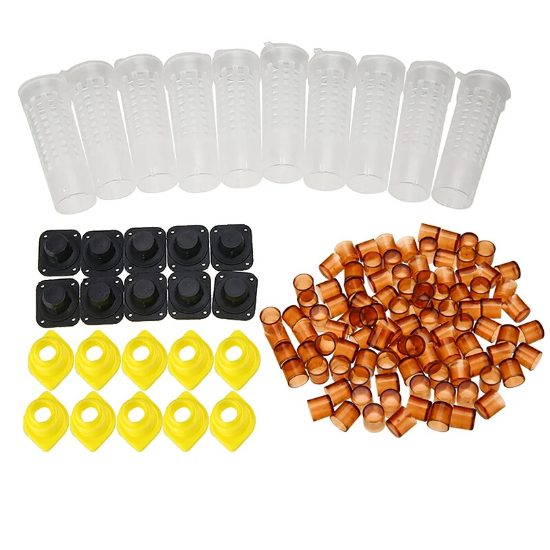 Beekeeping Tools Set Queen Rearing Cultivating Box 110pcs Plastic Bee Cell Cups