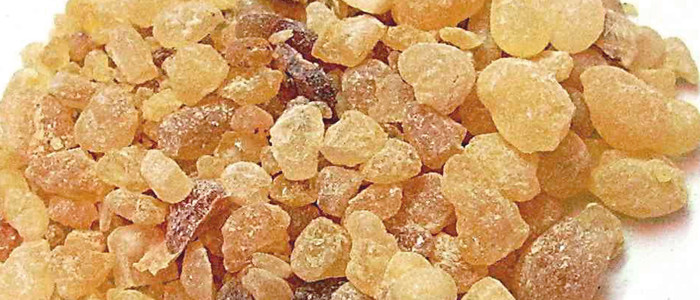 4 oz Candle Scent Oil-FRANKINCENSE