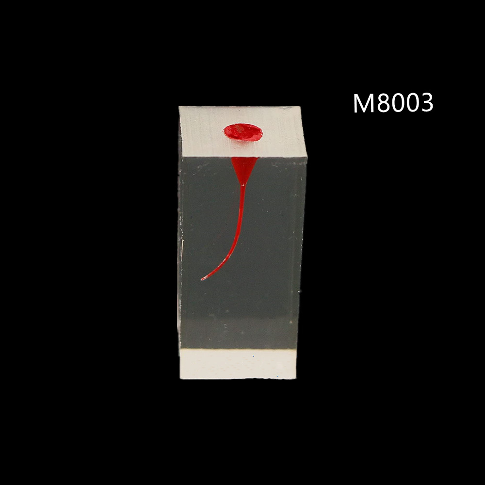 Dental Resin Training Study Endo Root Canal Teeth Model Practice Block RCT Pulp