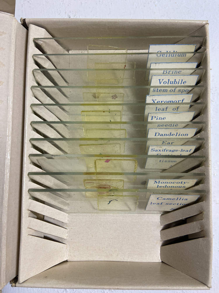 Vintage Sears Prepared Microscope Slides box - category Plants - includes 10