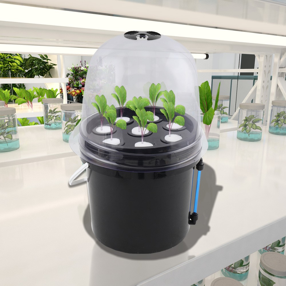 Hydroponics Grower Kit Hydroponic SystemSelf Watering Indoor Hydroponics Tools