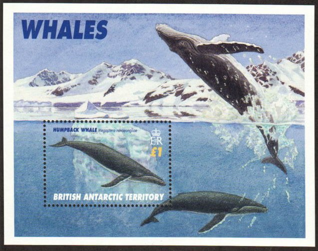 British Antarctic Territory Stamp 248  - Whales