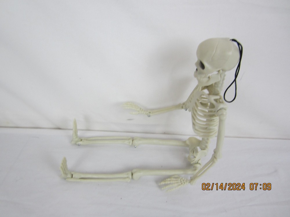 Halloween 14" Hanging Posable Skeleton